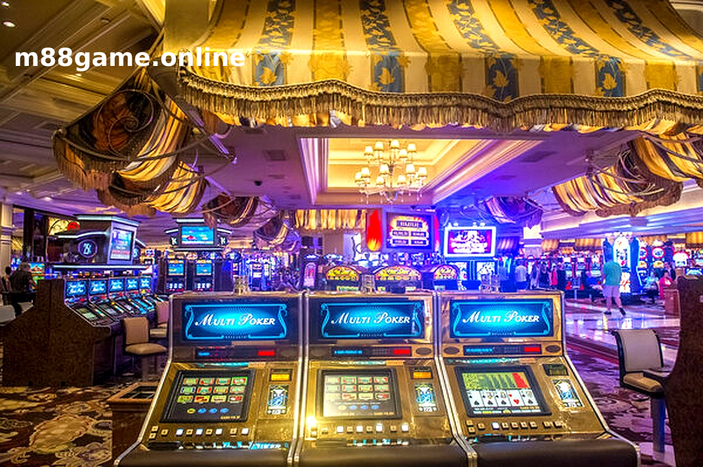 Hình ảnh đá gà trên mạng casino